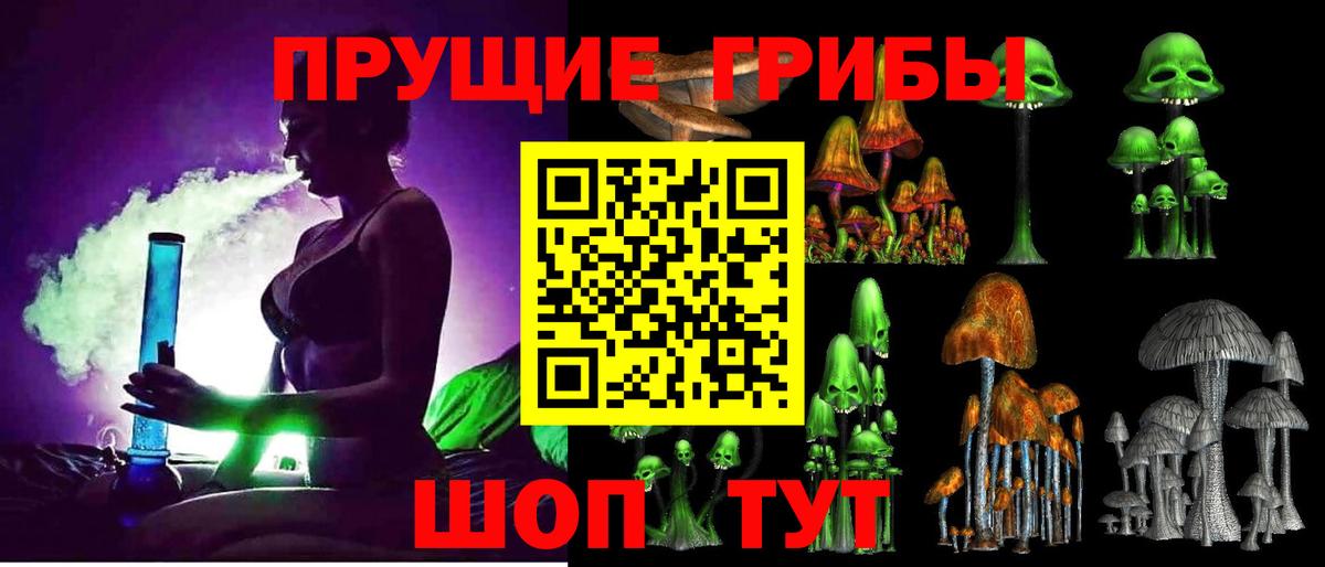 Псилоцибиновые грибы Psilocybe Ульяновск